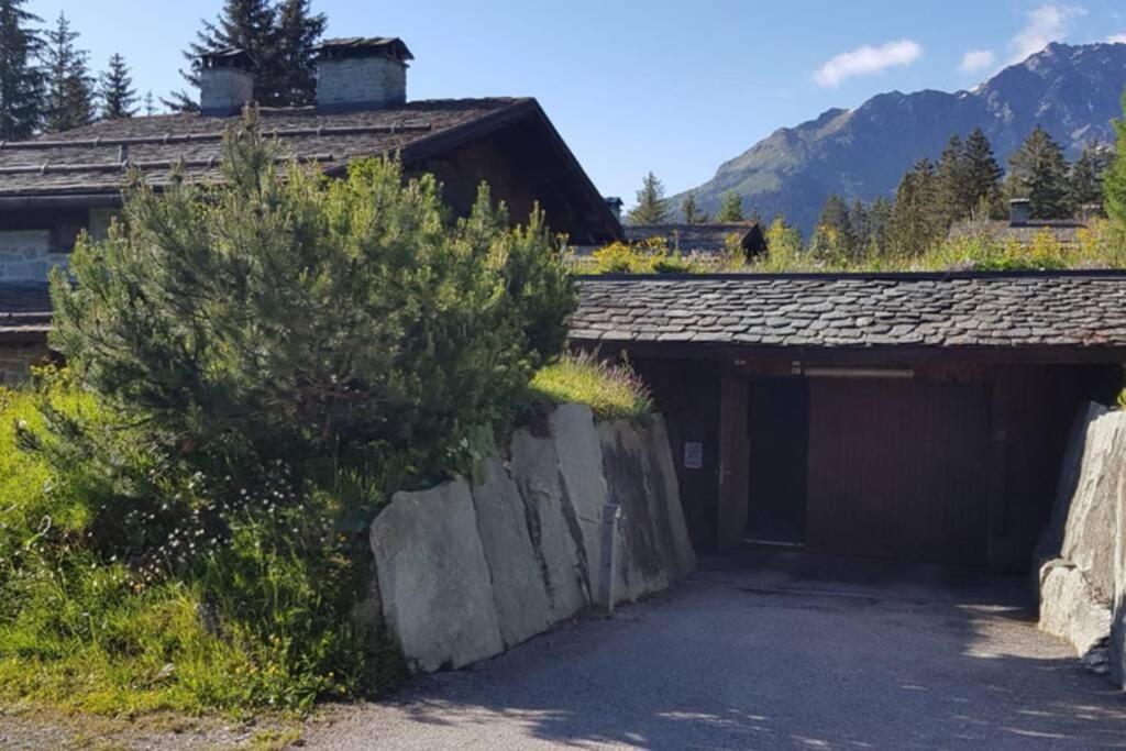 Wulli In Der Nähe Der Skianlagen * Savognin