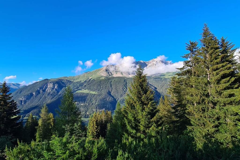 Wulli In Der Nähe Der Skianlagen Chalet *