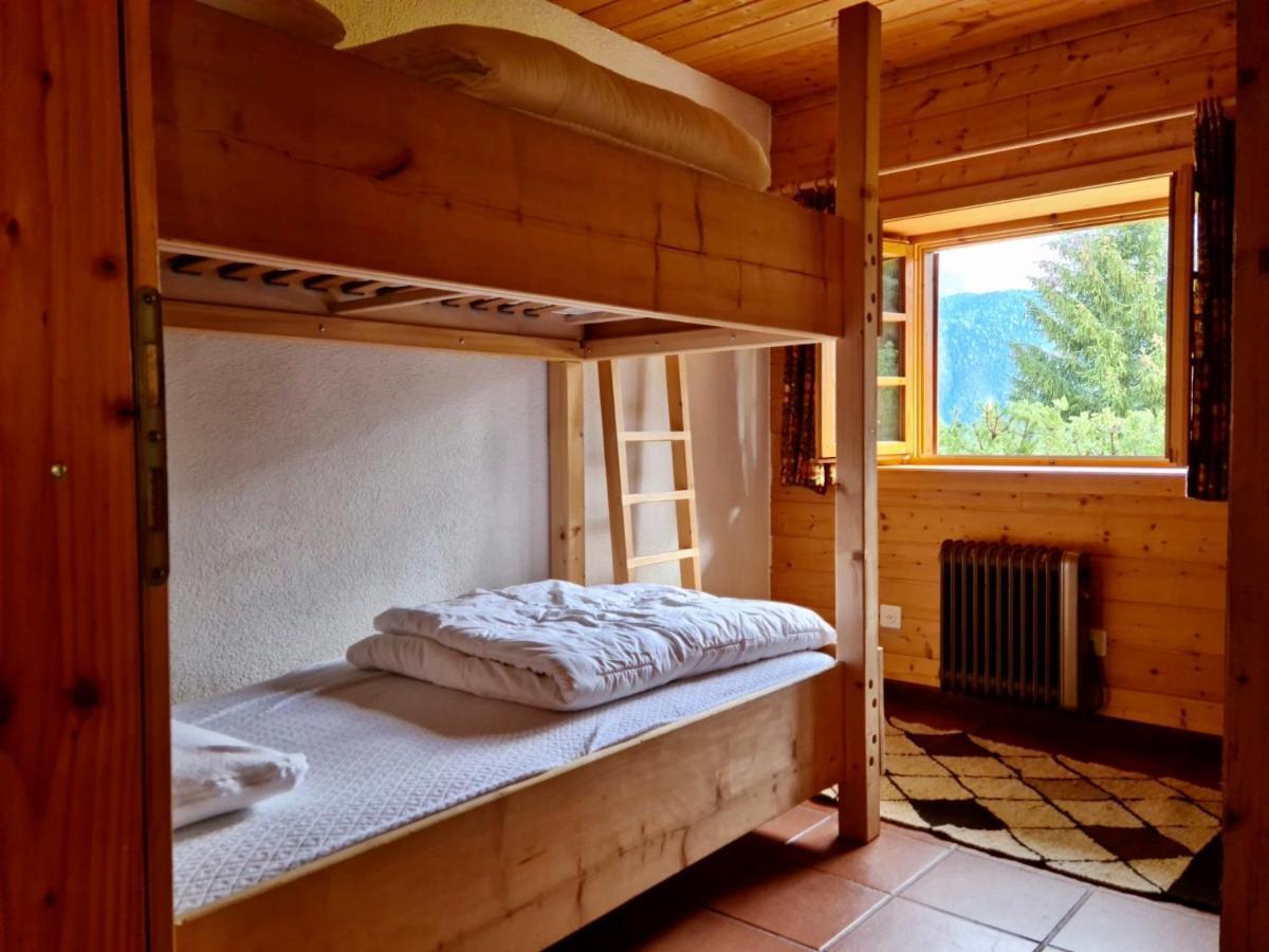 Wulli In Der Nähe Der Skianlagen
