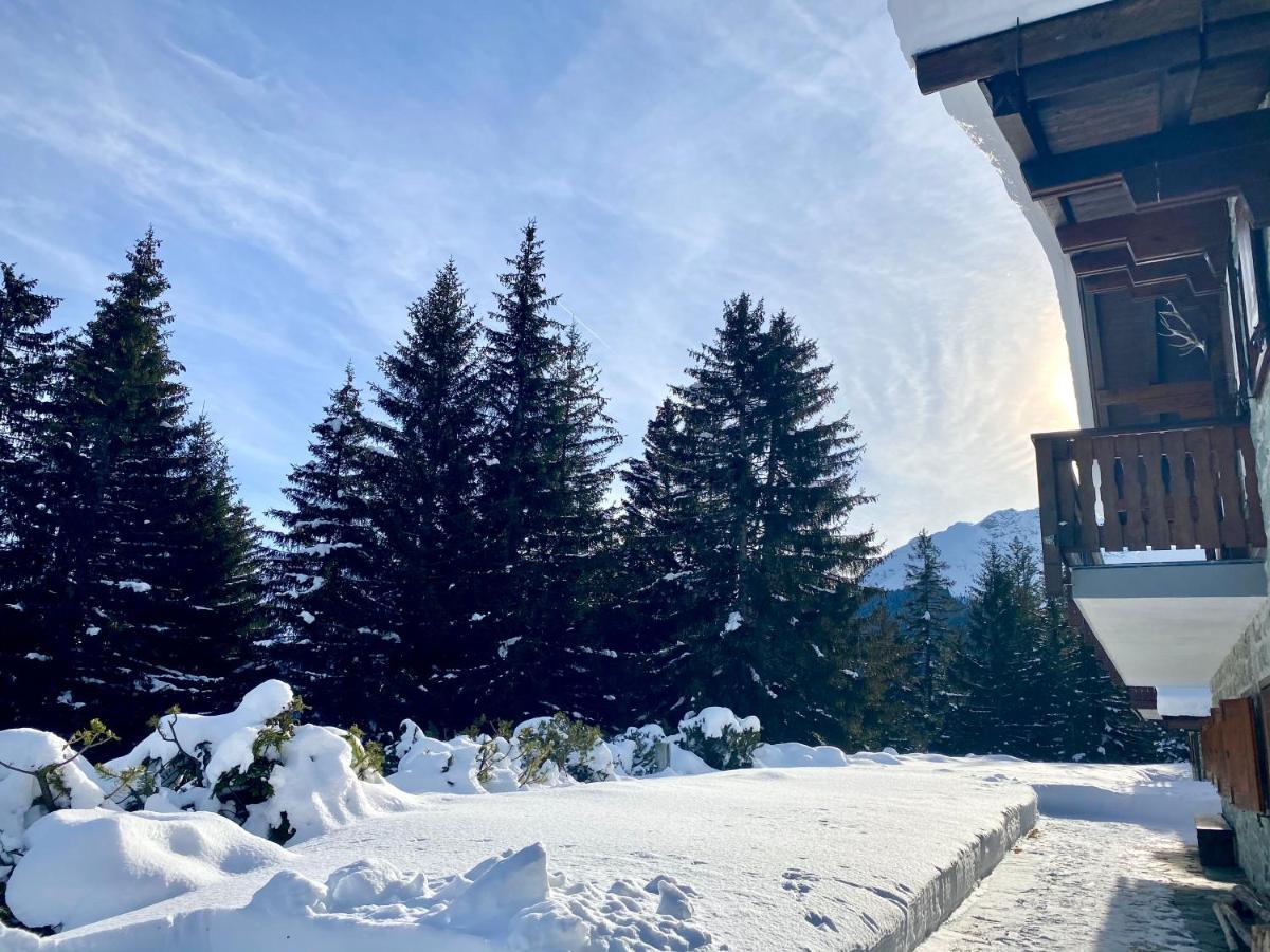 Wulli In Der Nähe Der Skianlagen *