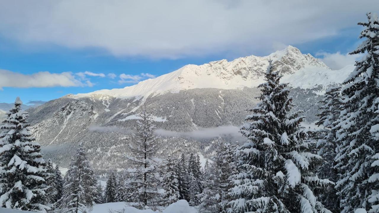 Wulli In Der Nähe Der Skianlagen * Savognin