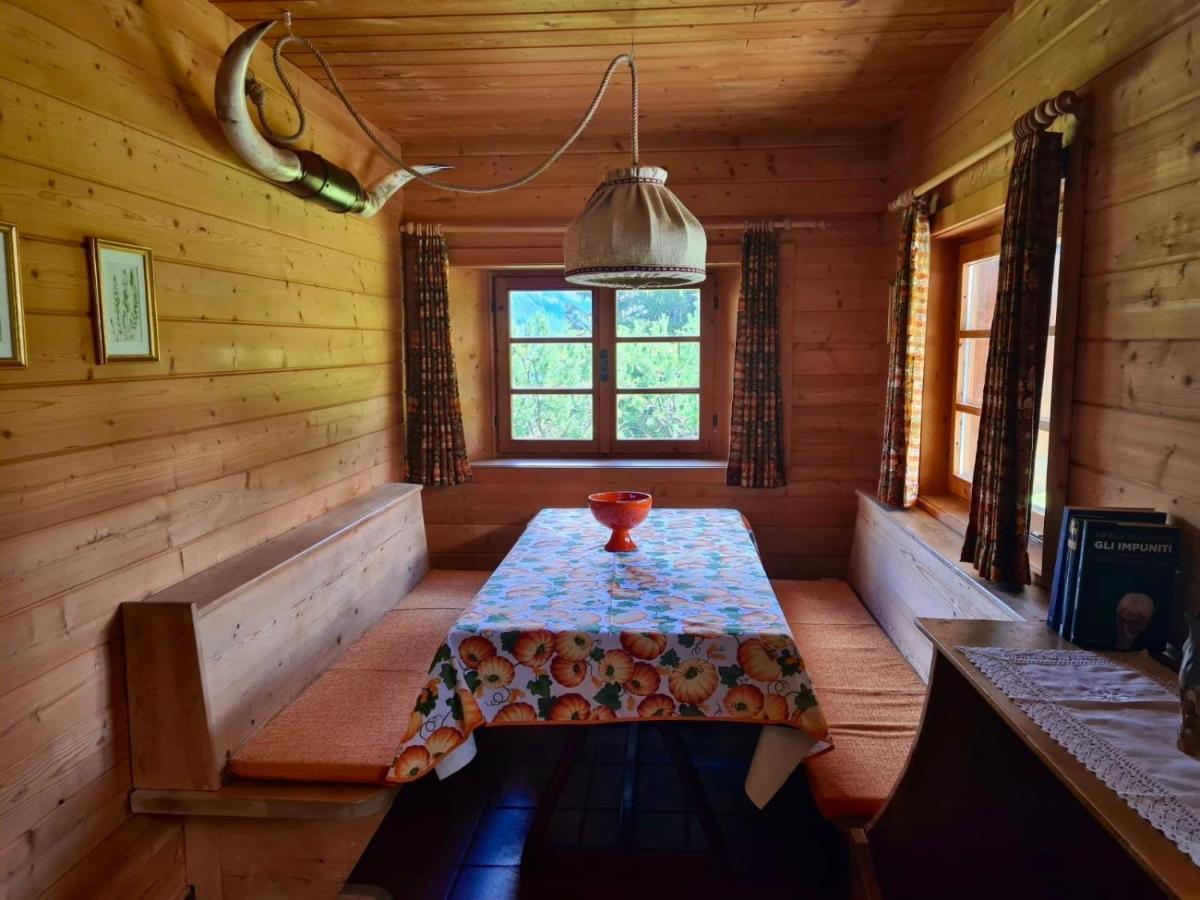 Wulli In Der Naehe Der Skianlagen Savognin