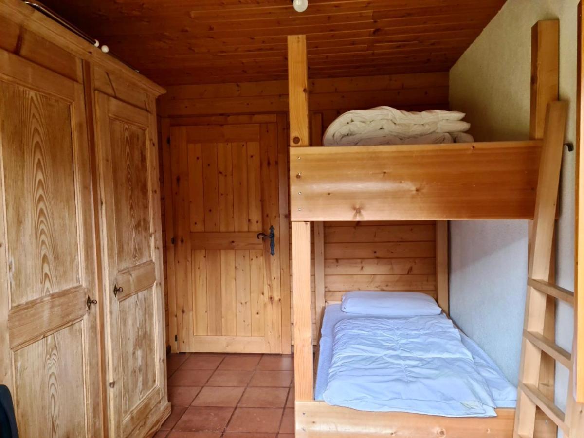 Wulli In Der Naehe Der Skianlagen