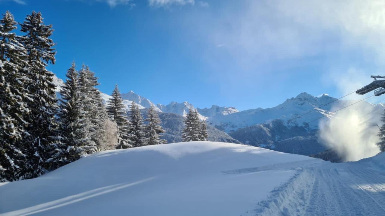 Wulli In Der Naehe Der Skianlagen