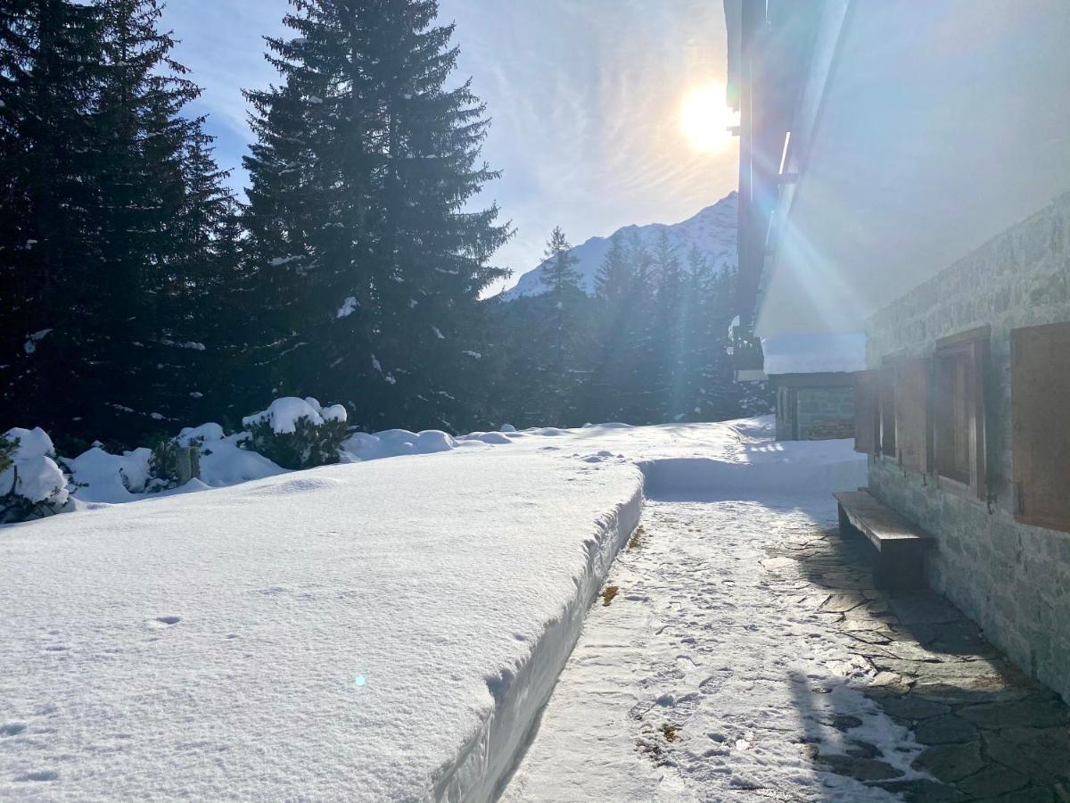 Wulli In Der Naehe Der Skianlagen षाले *