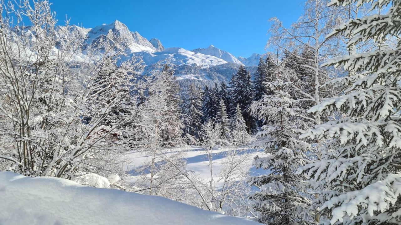षाले Wulli In Der Naehe Der Skianlagen *